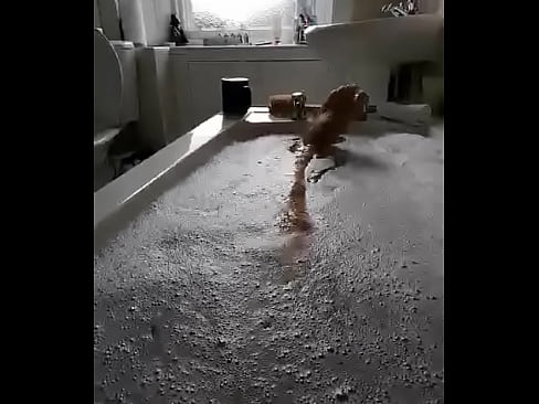 Bathtime Cock Bounce