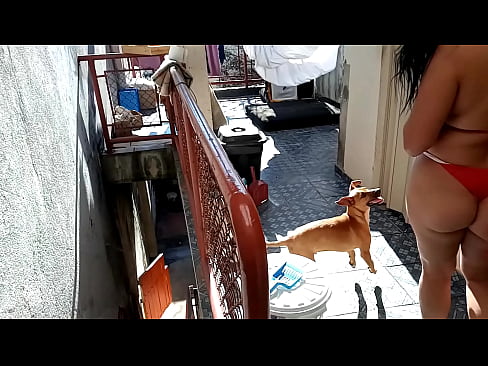Sarah Rosa │ no Banho com Rogério ║  neste vídeo ela mostra como banhou seu gatinho Rogério