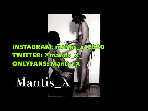 Mistress Mantis