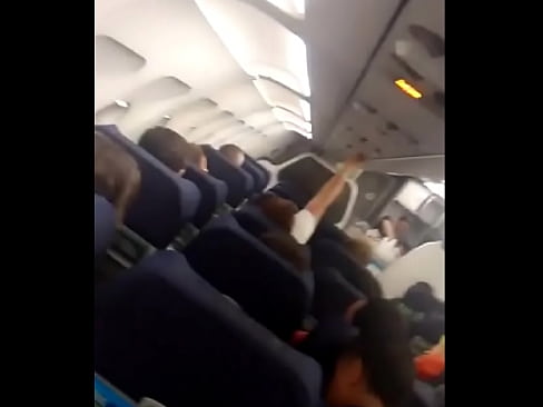 Paja en el Avion