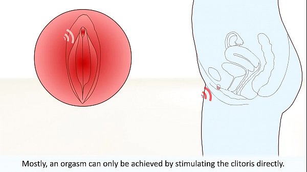 The female orgasm explained