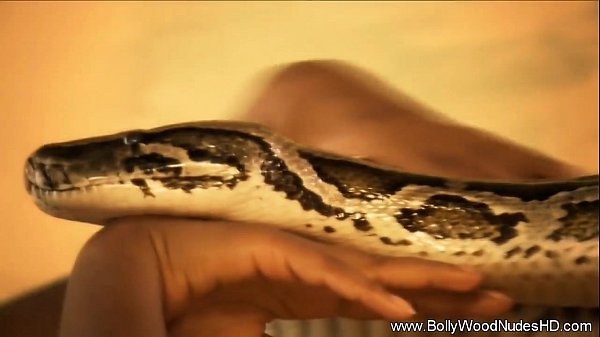 Indian Erotic dance with snake