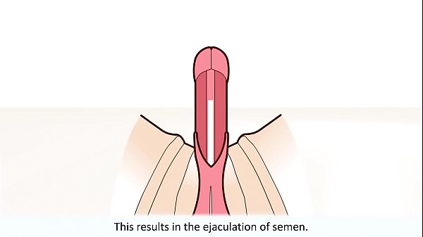 how to stimulate men