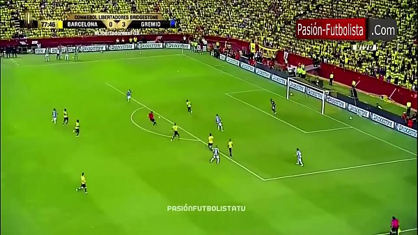 BarceZorras 0 GremioDingo 3 (La Golosa De América)