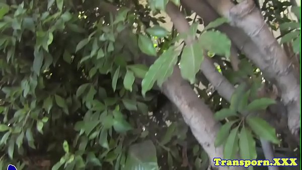 Busty tranny masturbating in outdoor action