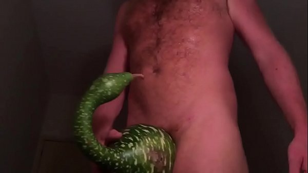 Gully wompus gourdjus gourds on dick