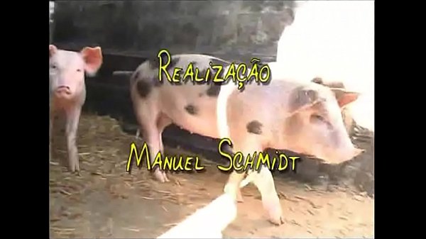 1º Mês na Quinta da Conde - Melhores cenas