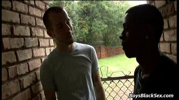 Interracial Bareback Gay Hardcore Porn 02