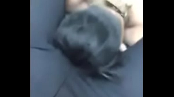 ( Ngửi Háng Anh Không?) Dog Sniffing my Crotch