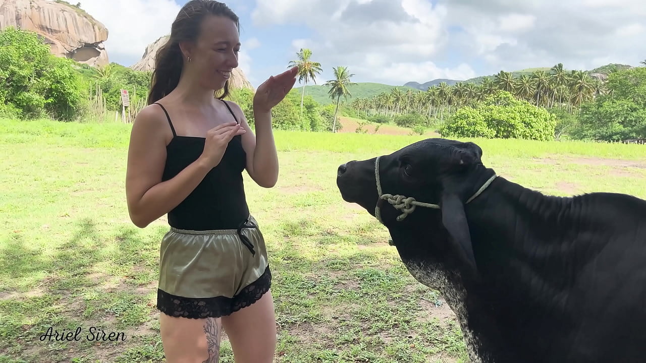 Vlog de acampamento - Ele GOZOU DENTRO da minha BUCETINHA