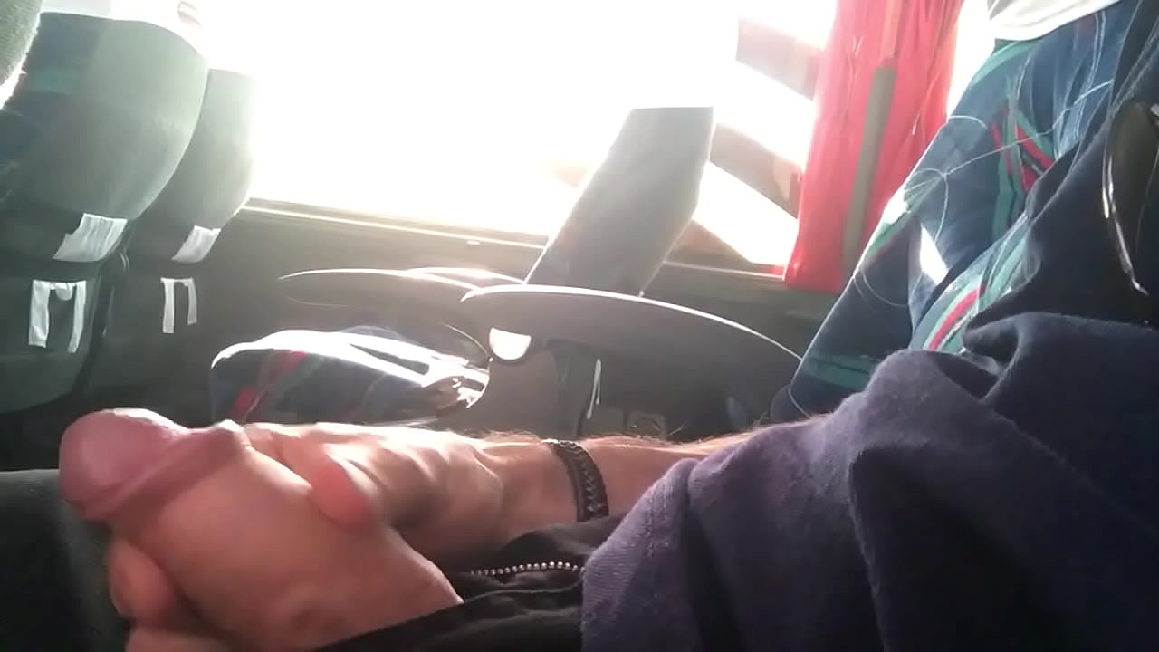 Procurando um rabinho no ônibus