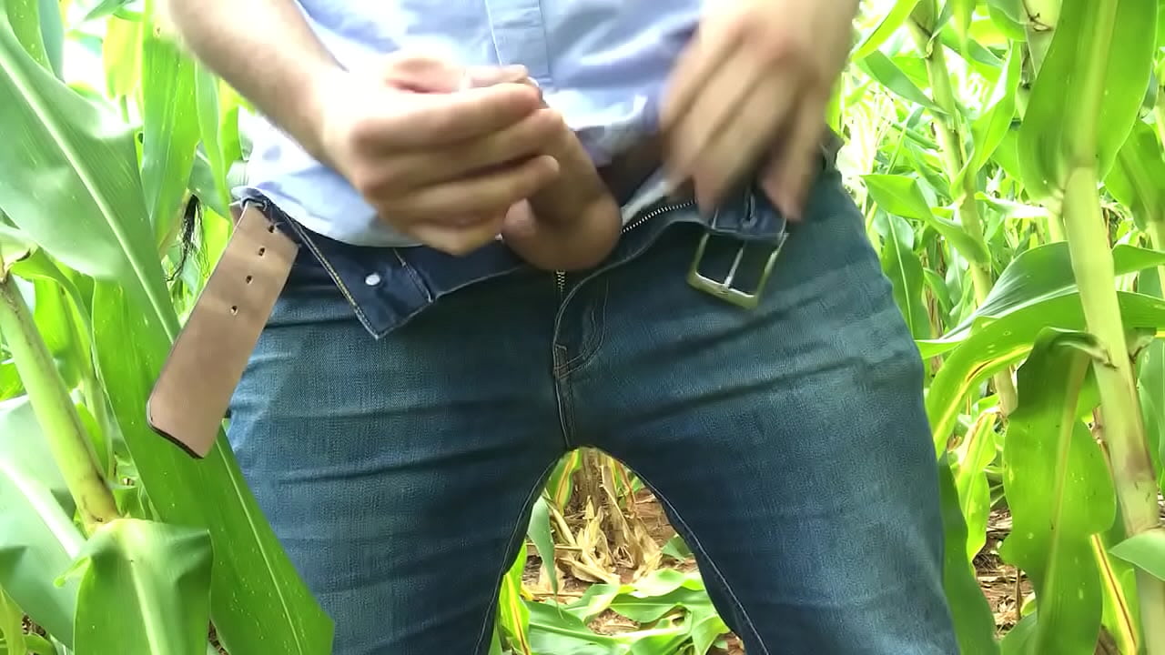 Esporrando no milho