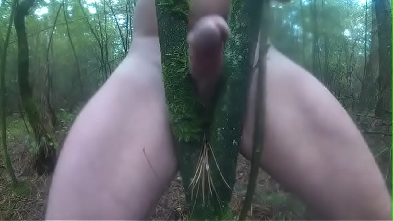 fuck tree deep forest