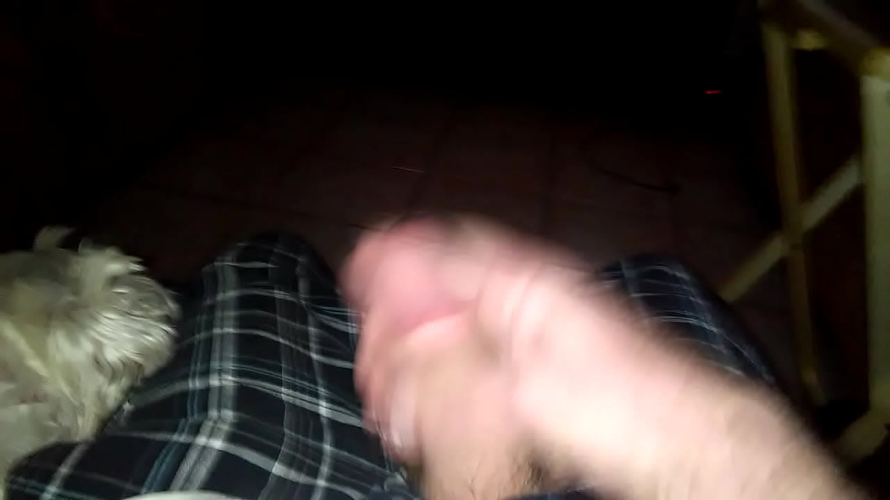 VID 20160313 013453