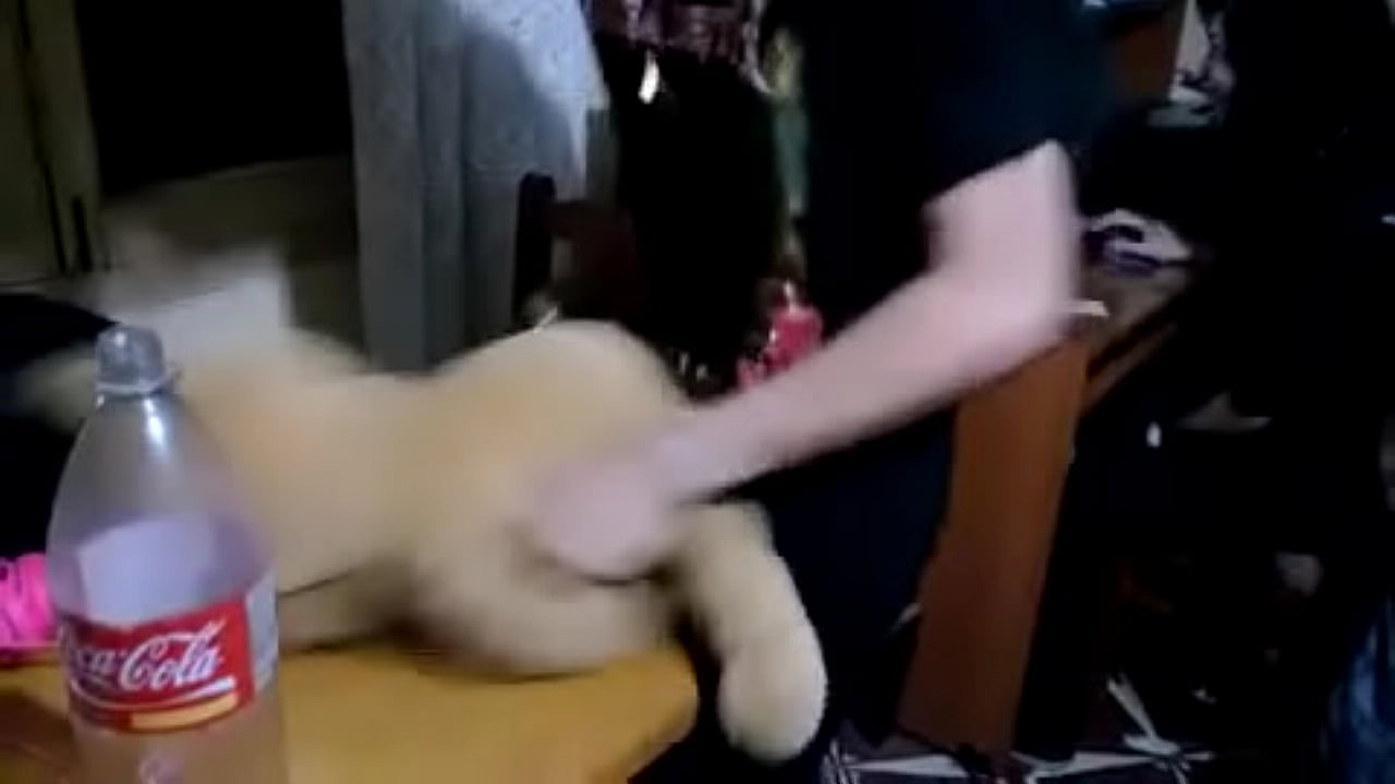 Horny scene boy fucks anal a hot blonde Teddy Bear