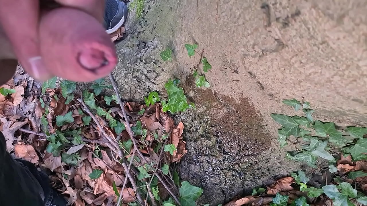 Outdoor pissing