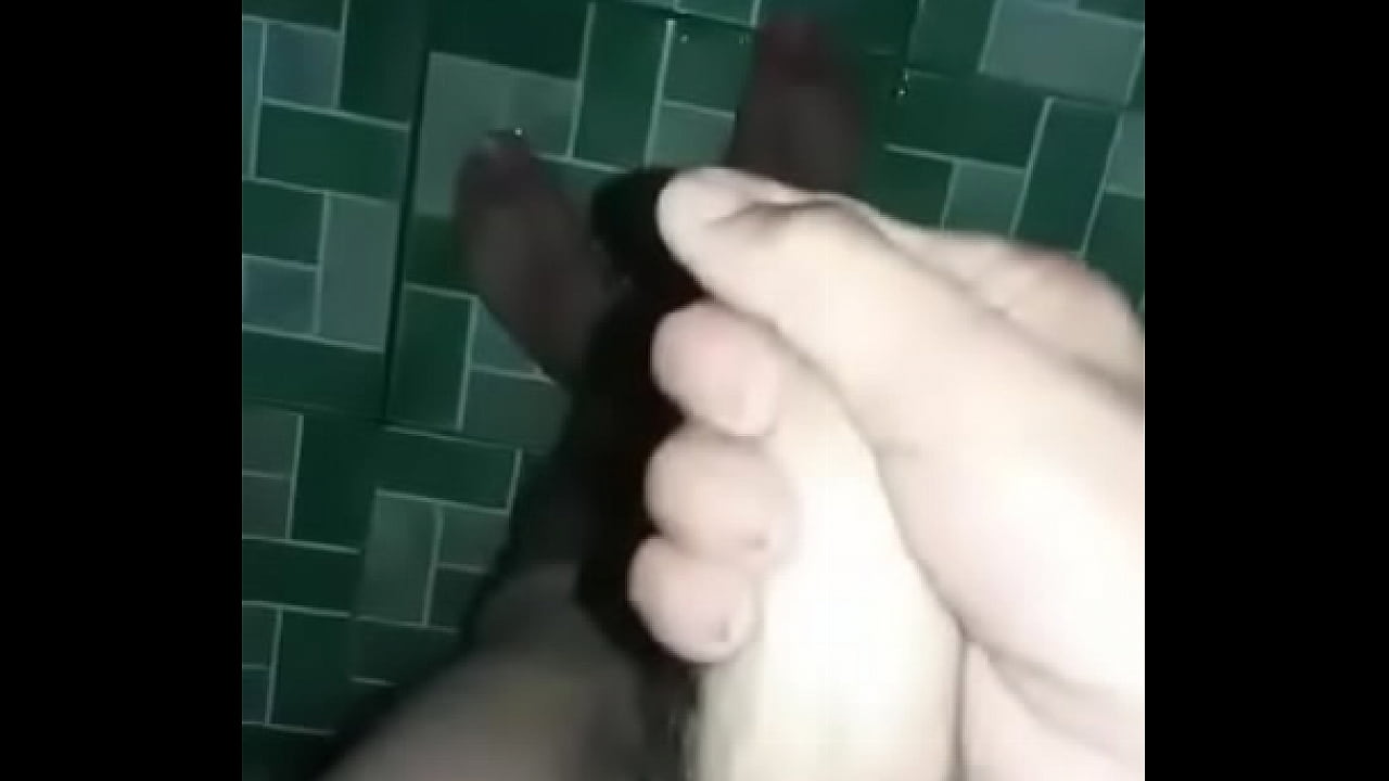 Paja rica pelos