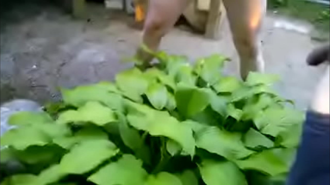 Couple pissing together on a plant