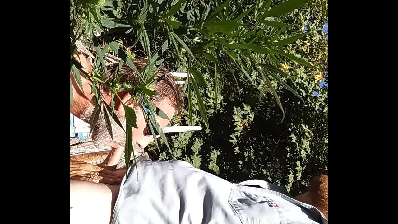 In the 420 garden sucking&getting fucked