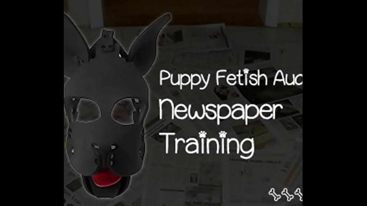 Become a dog and learn what the newspaper is for