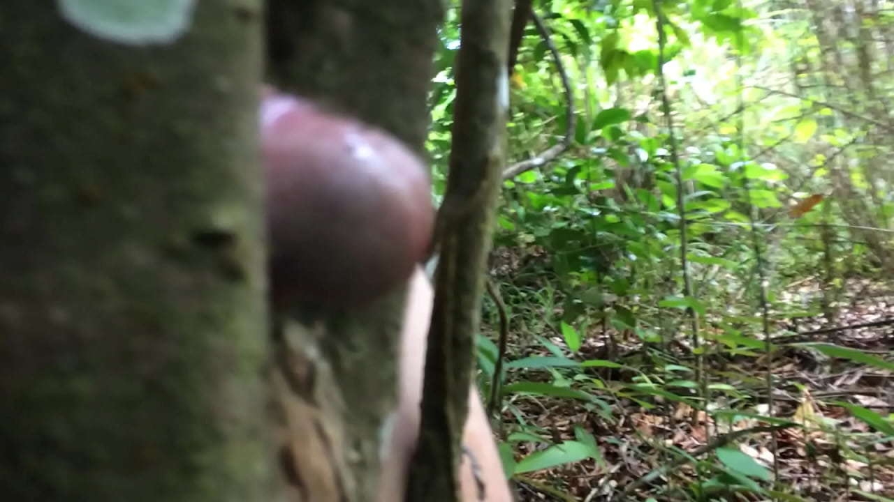 Risky Outdoor Tree Fuck