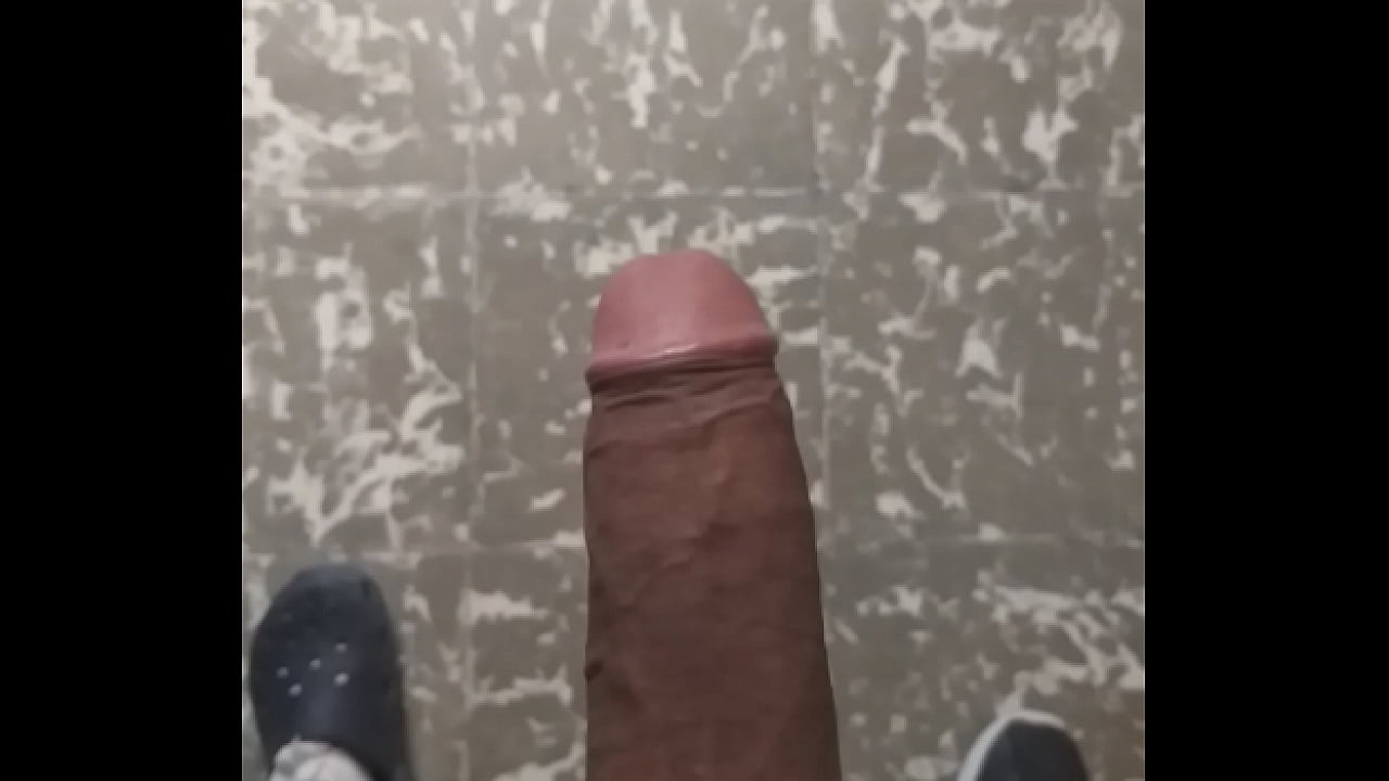 Rico pene mexicano . Verga cotizada