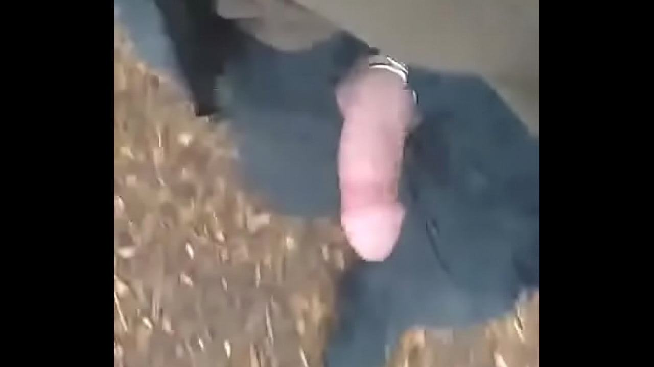 Walking around the park with my Cock out and playing with it publicily