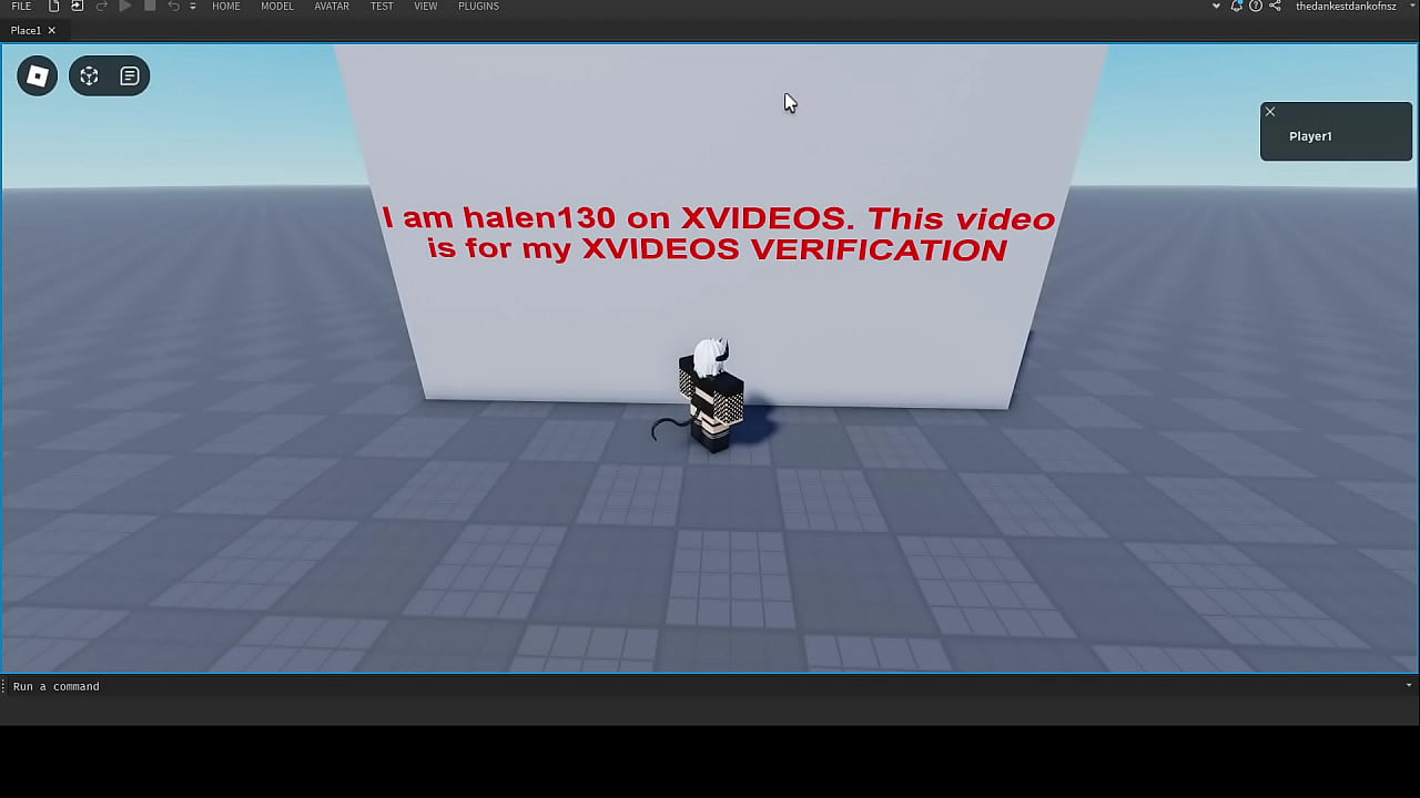 Verification video