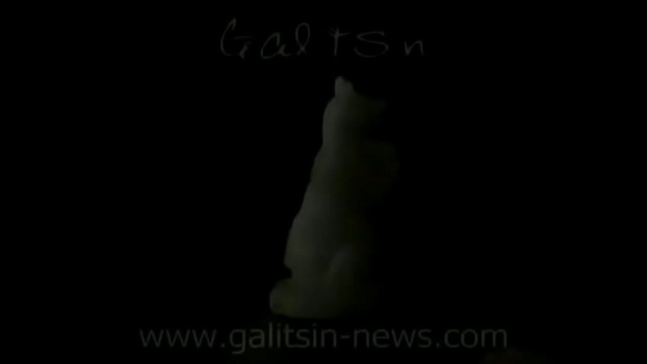 galistin girls lesbian