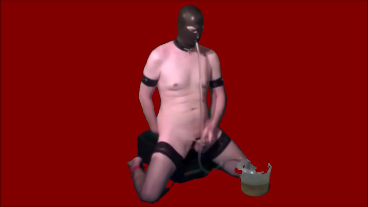 German perverted fag Sebastian swallow bucket full of piss - Dumb faggot human trash