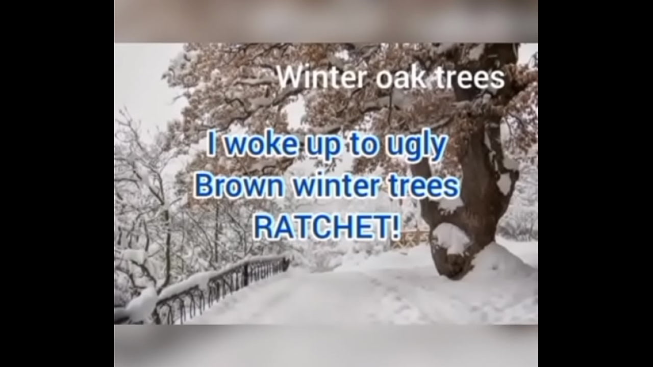 I woke up to ugly brown winter trees RATCHET