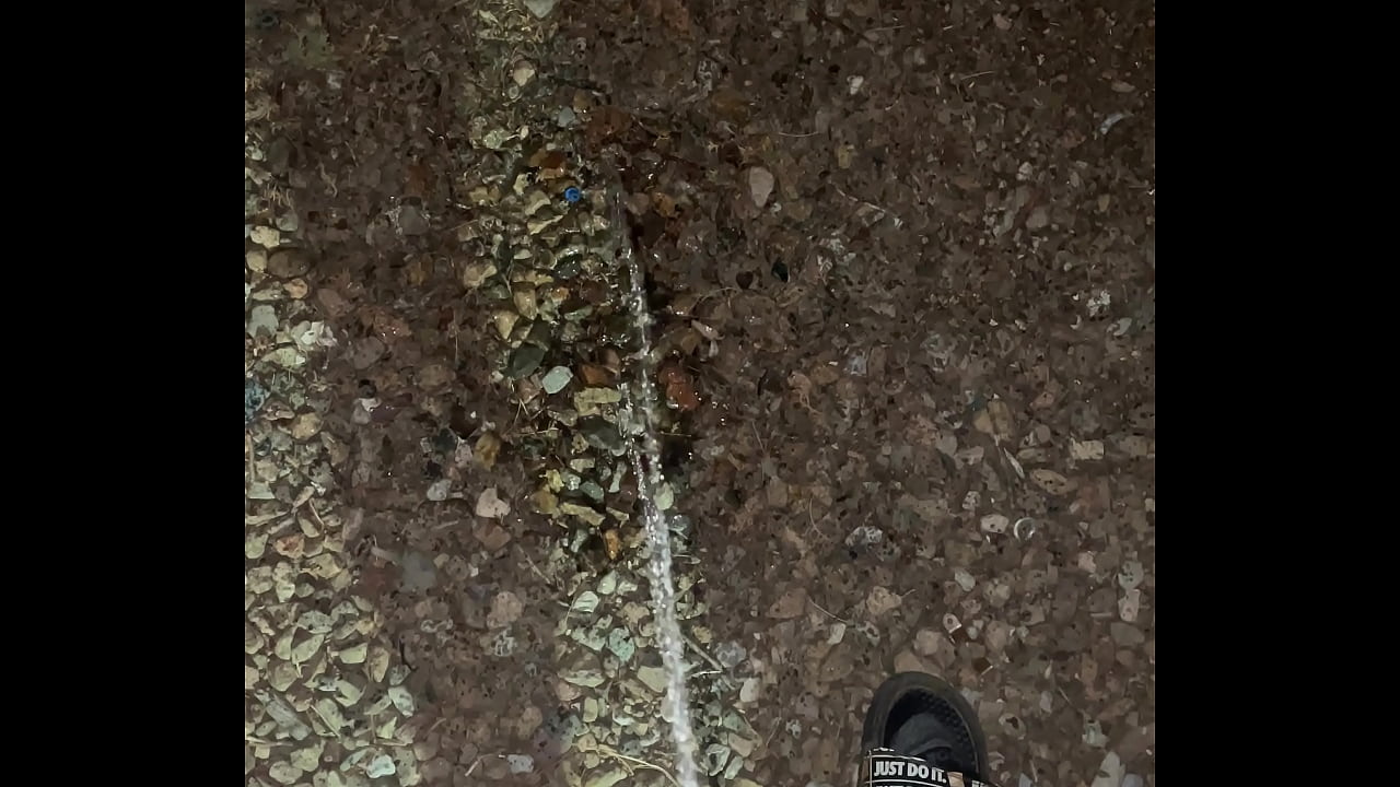 After Smoking Outside I Decided to Just Take a Quick Pee!