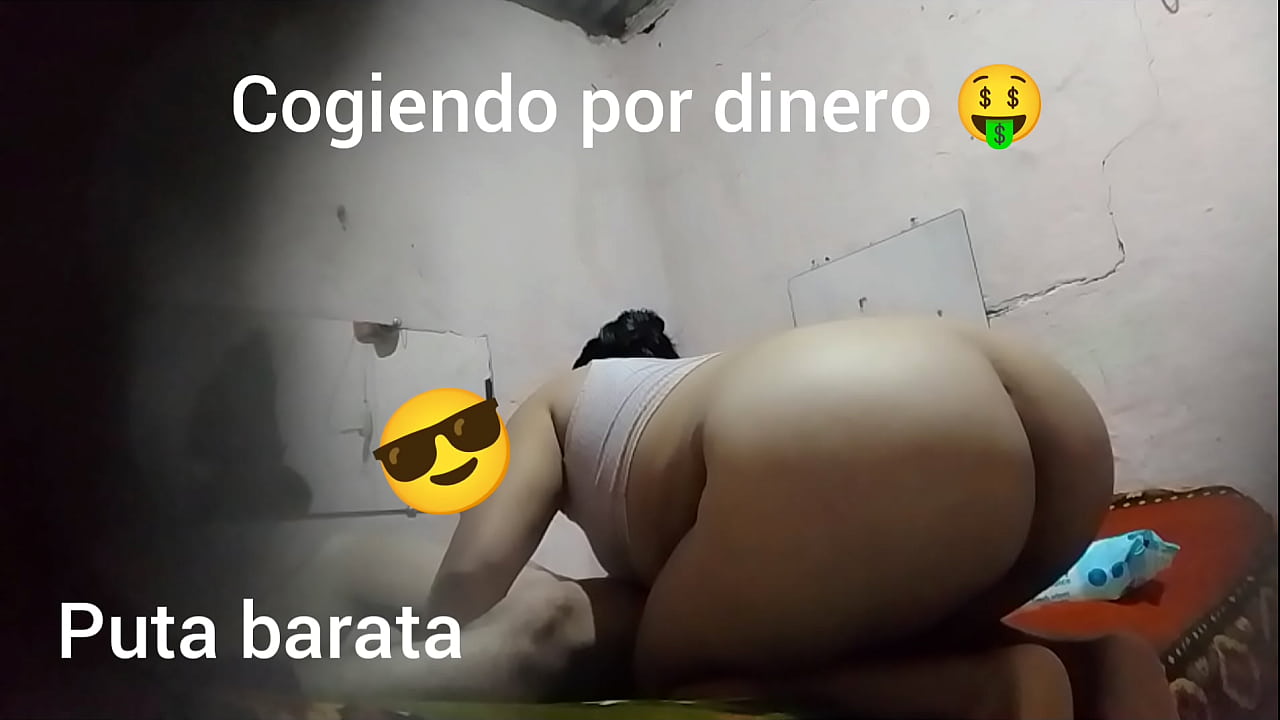 Carne barata de puta gata