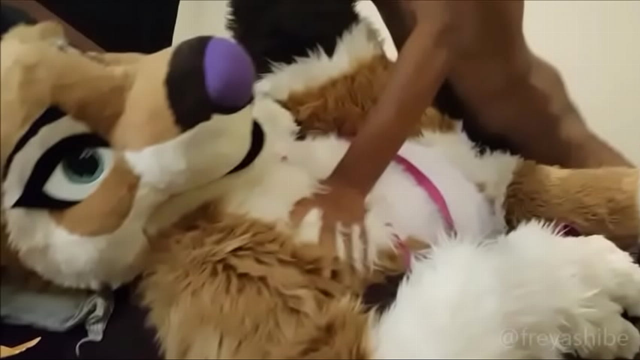 Furry babe gets dicked in missionary