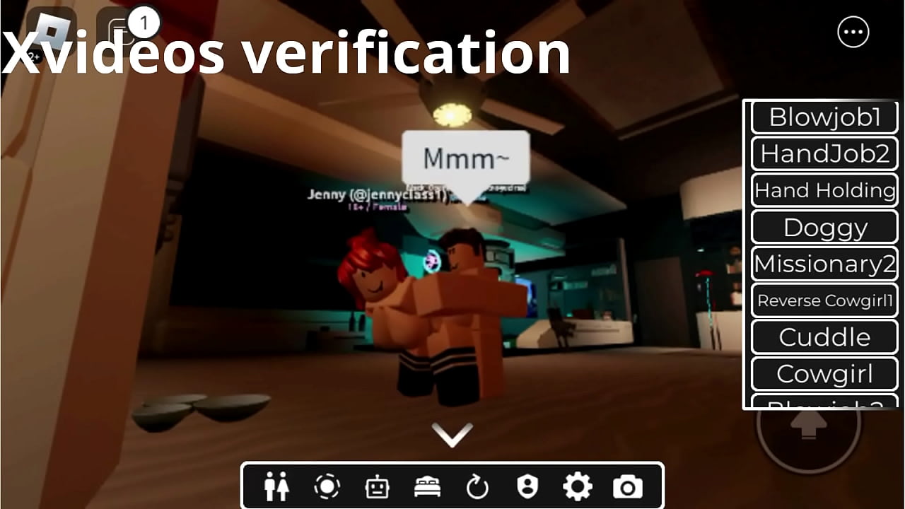 Verification video