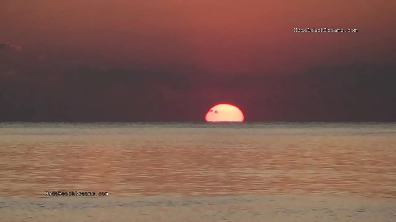 Beach group sex at sunset