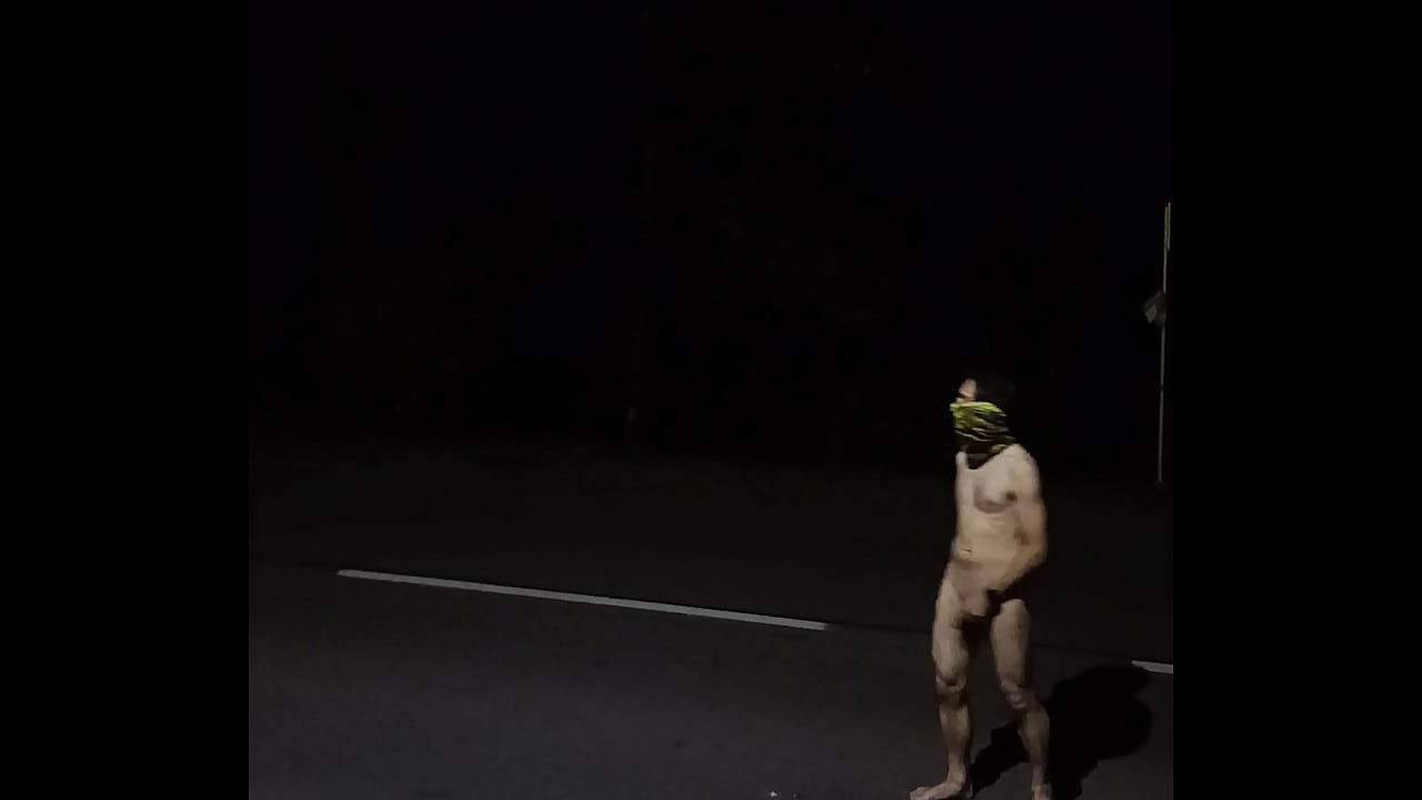 A completely naked amateur shows off in public by the highway