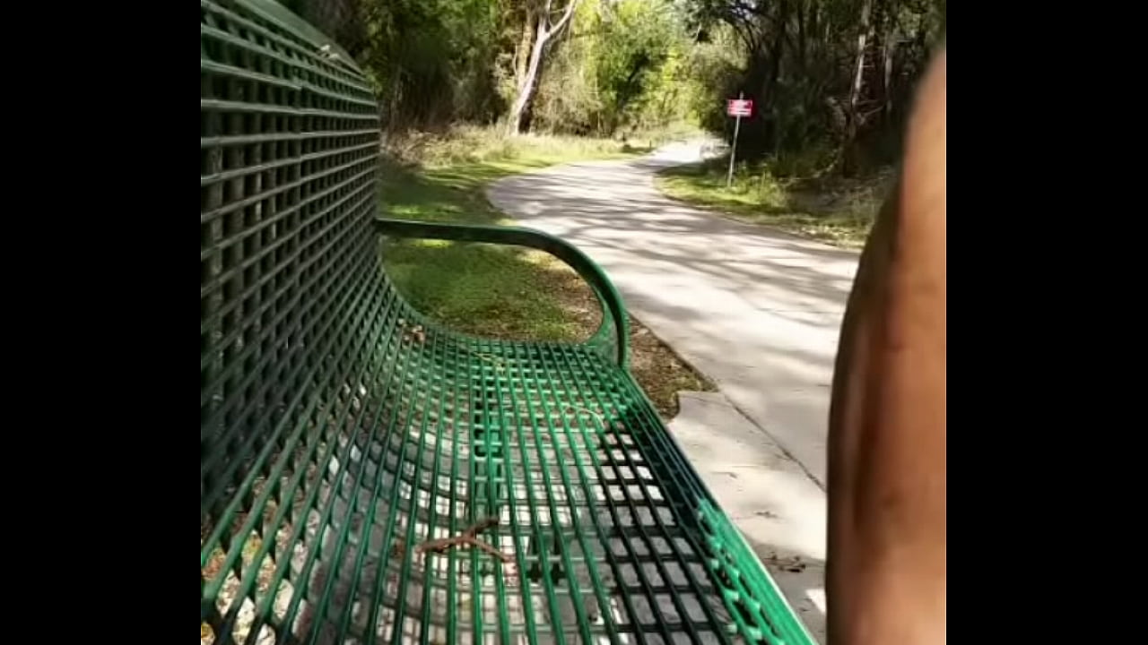 Bike path park bench