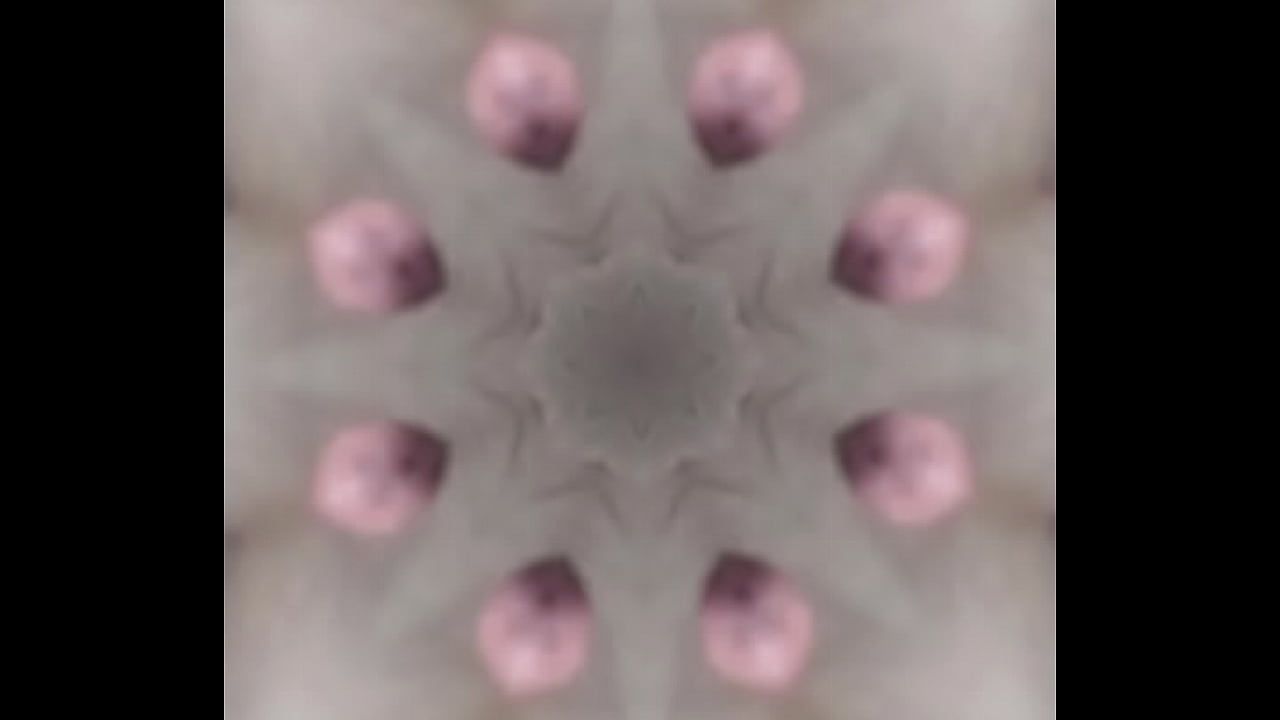 Cock Kaleidoscope