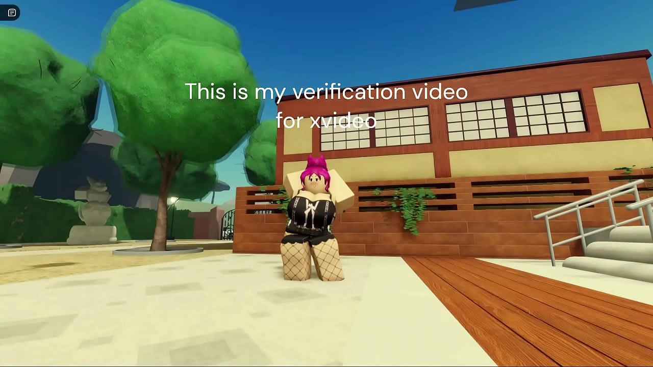 Verification video