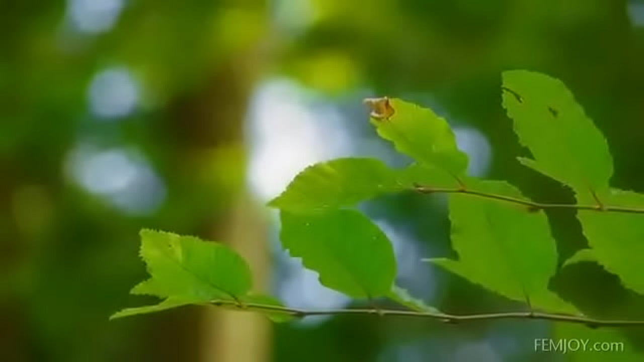 Una linda pelirroja en el bosque