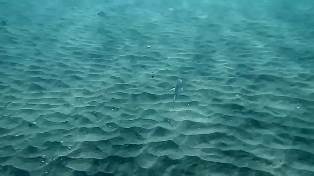 Underwater threeway lesbians