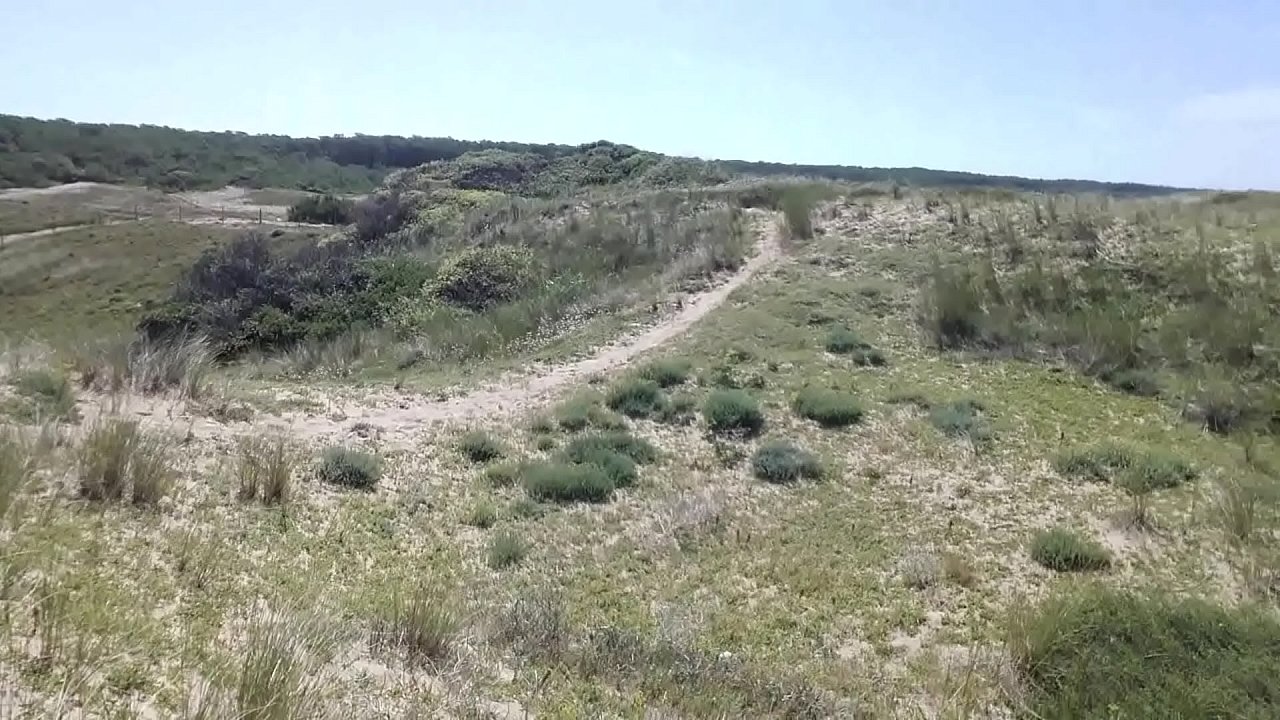 I jerk off in the dunes, naturist beach