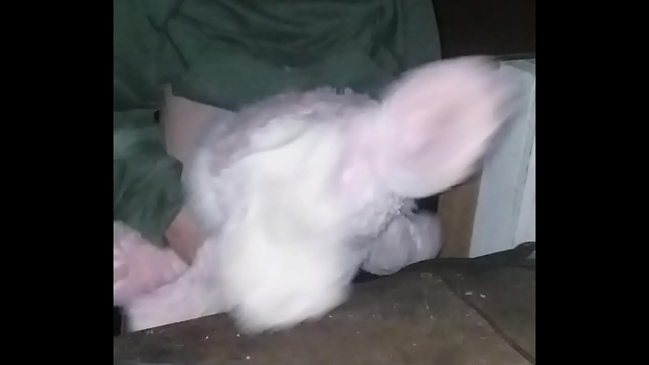 Me fucking my bunny in my friends shed