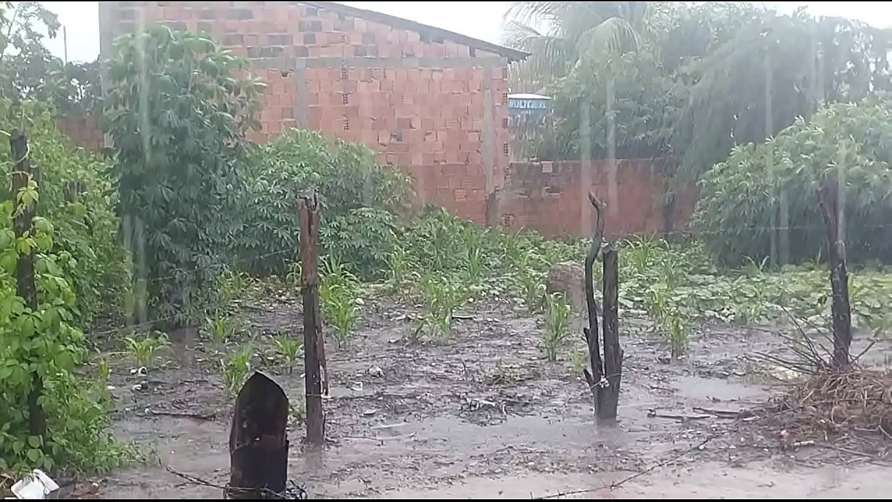 Vídeo de verificação