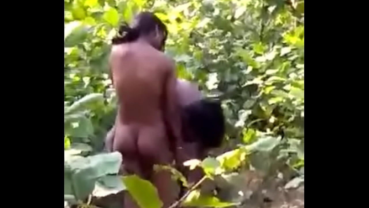 Jungle is safe place to do sex