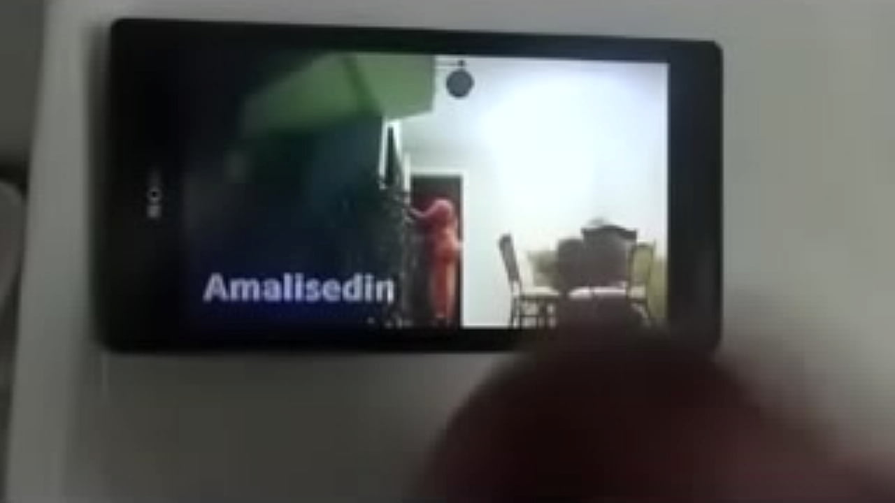 Amalisedin