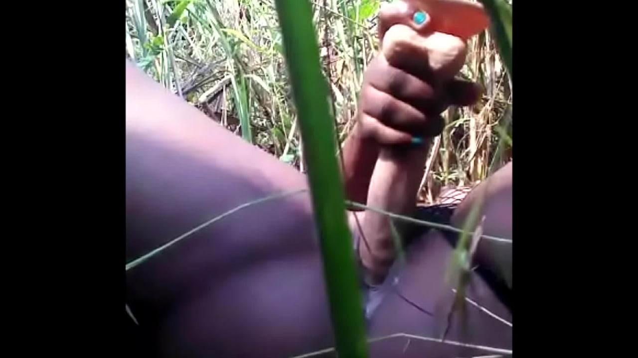 Chatte noire défonsé dans la forêt