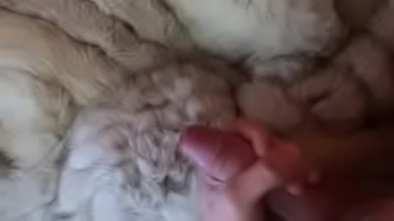 Teasing my dick in FUR COAT