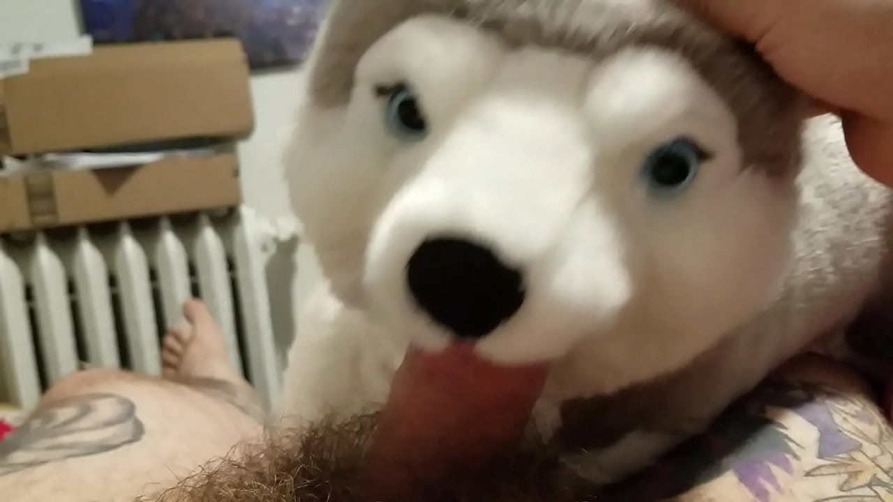 Oral sex with stuffed husky and rubbing one out